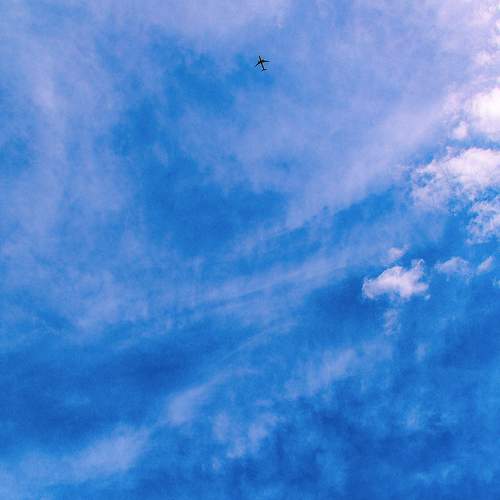 Photo #8172233