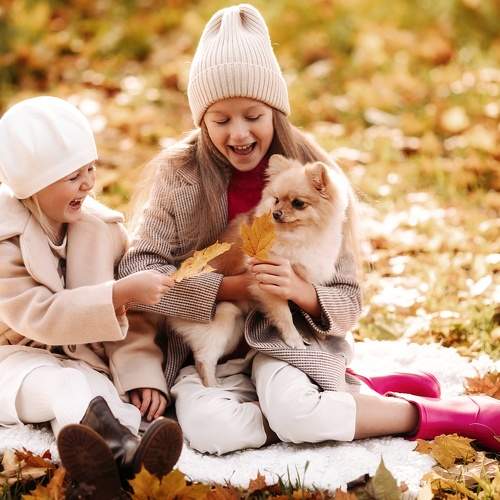Photo #8172348
