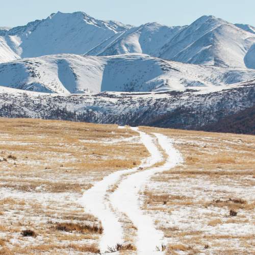 Photo #8173244