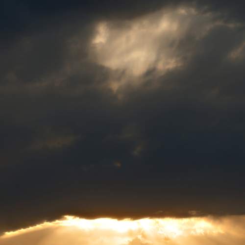 Photo #8173251