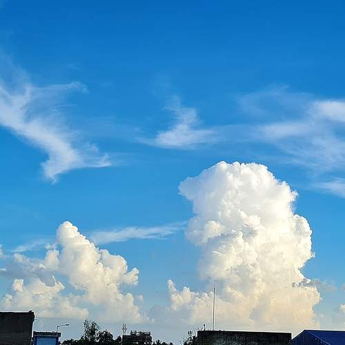 Photo #8173294
