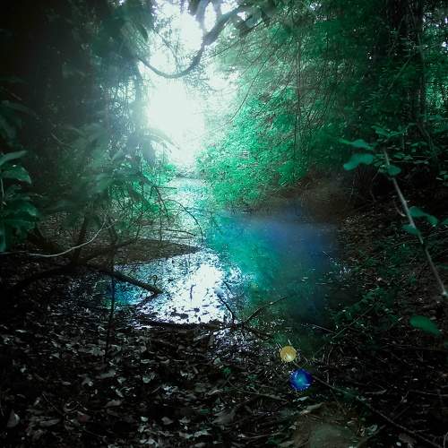 Photo #8173653