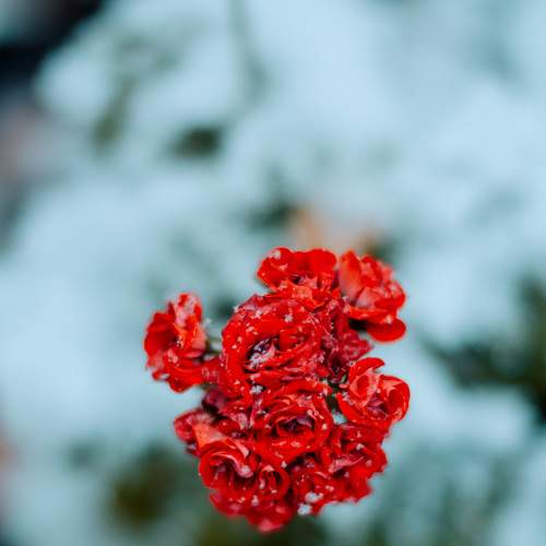 Photo #8173879