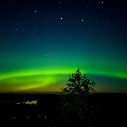 Photo #8173955