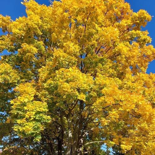 Photo #8174203