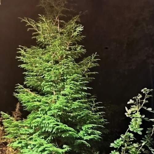 Photo #8174313