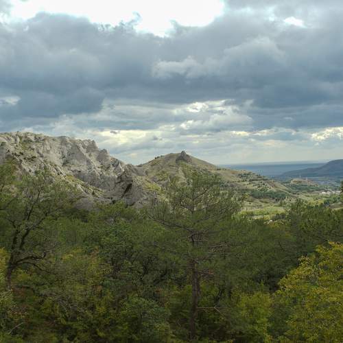 Photo #8174432