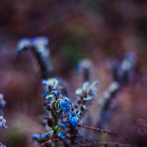 Photo #8174487