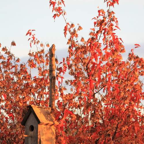 Photo #8174510