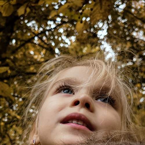Photo #8174566