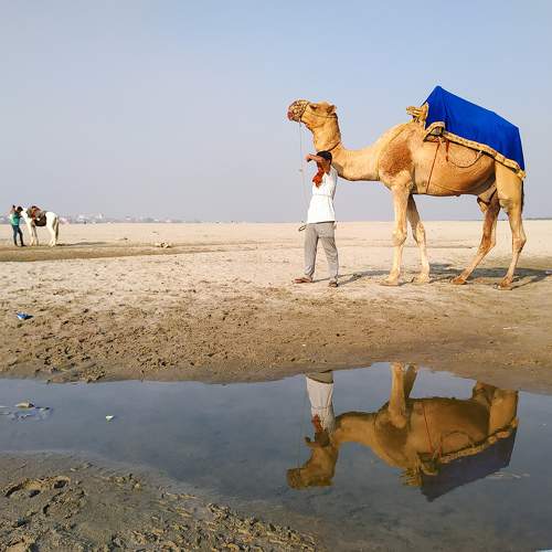 Photo #8175013