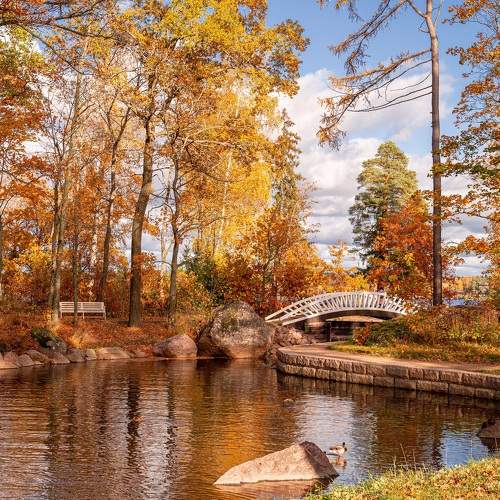 Photo #8175556