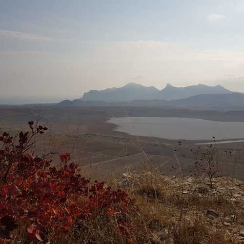 Photo #8175571