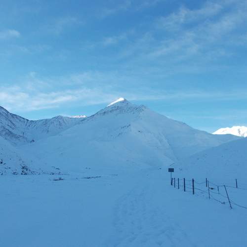 Photo #8176235