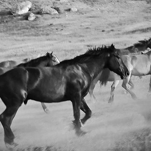 Photo #8176272