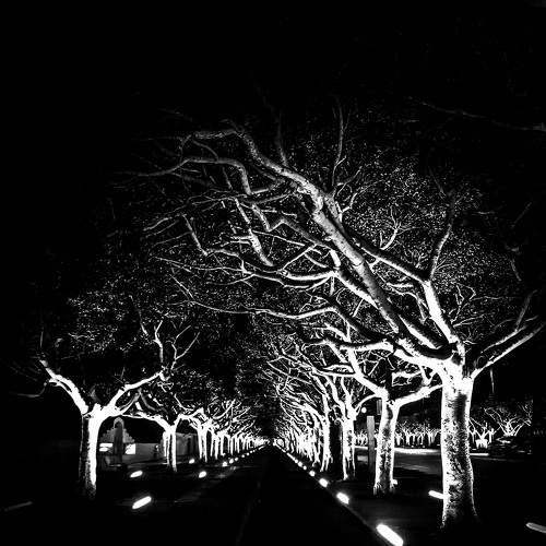 rabat by neight