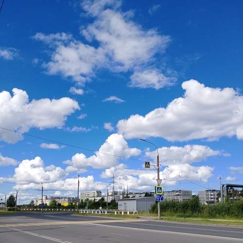 Photo #8177046
