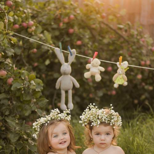 Photo #8177079