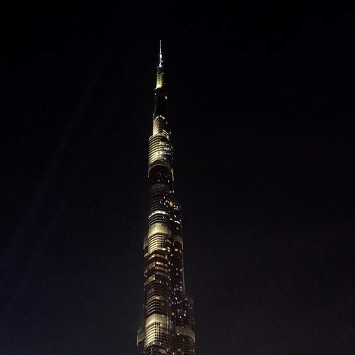 Photo #8177156