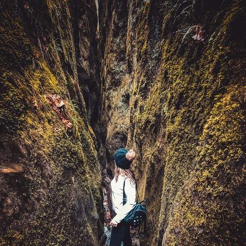 Photo #8178086
