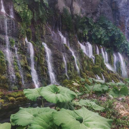 Photo #8178186