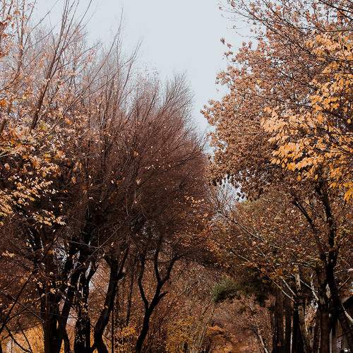 Photo #8178333
