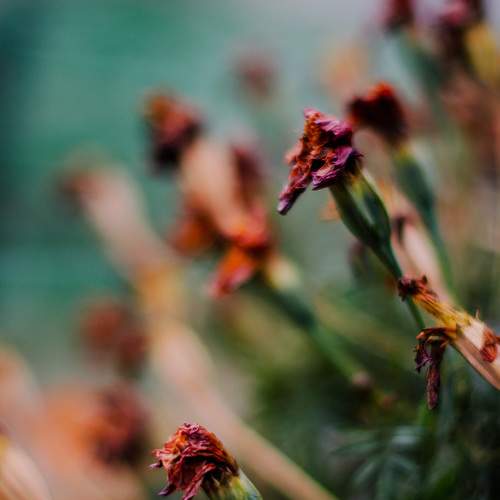 Photo #8178719