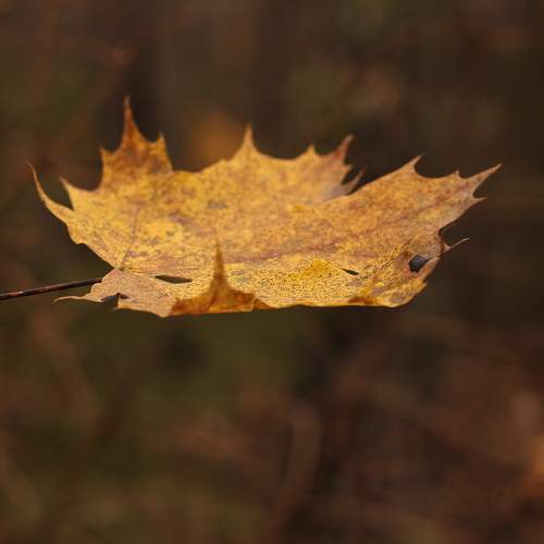 Photo #8178790