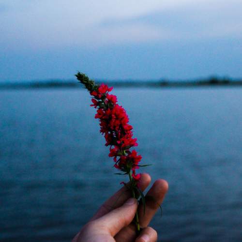 Photo #8178831