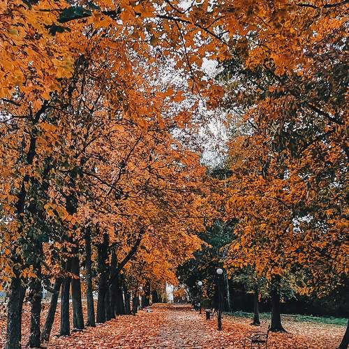Photo #8178885