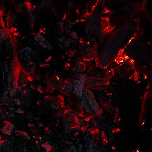Photo #8178971