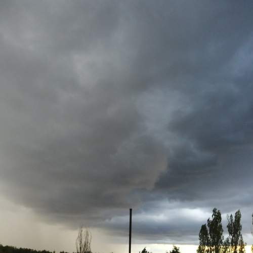 Photo #8179398