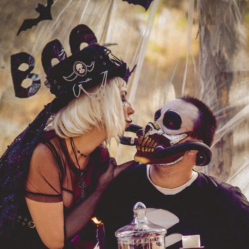 Photo #8179740