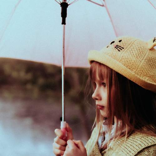 Photo #8179783