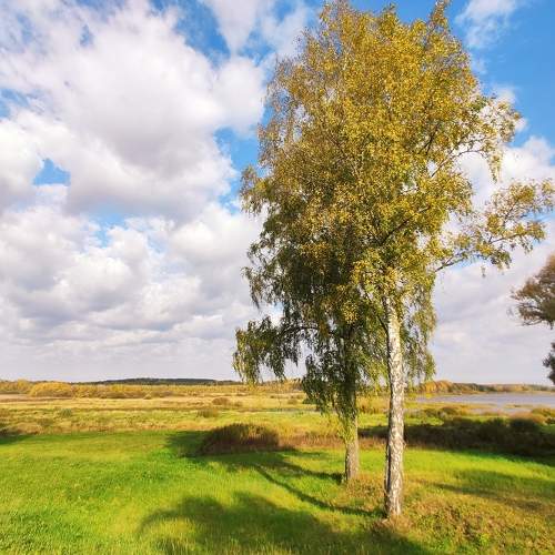 Photo #8180422