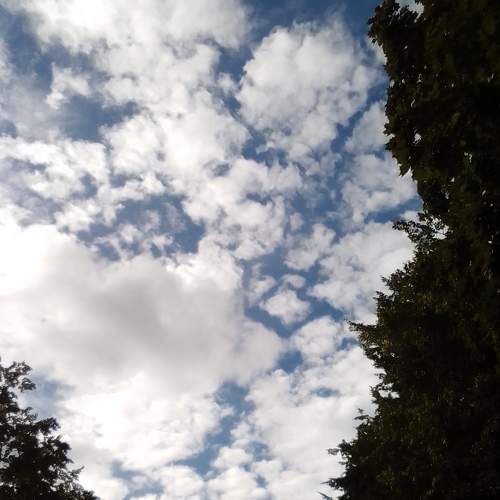 Photo #8180539