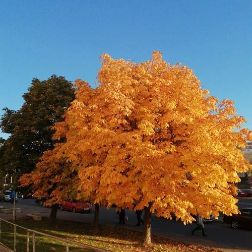 Photo #8180596