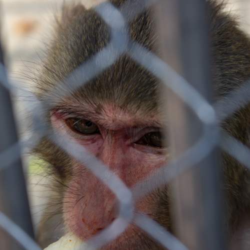 Photo #8180617