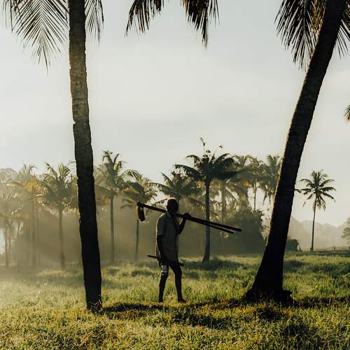 Photo #8180987
