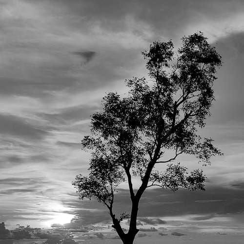 Photo #8181058