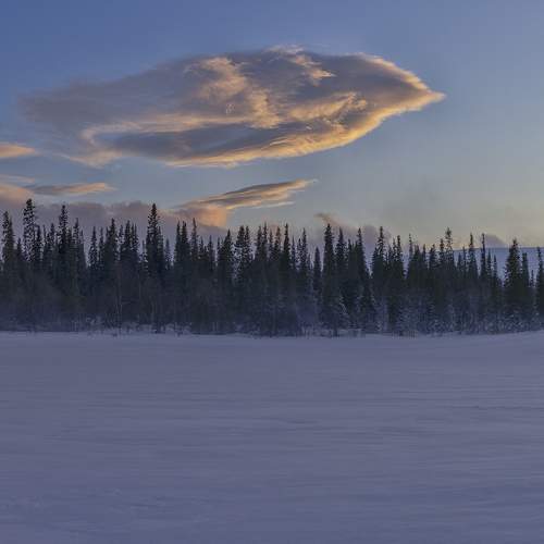 Photo #8181060