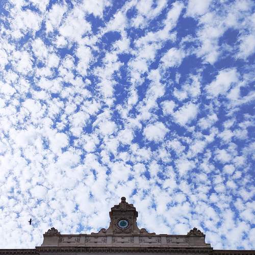 Photo #8181324
