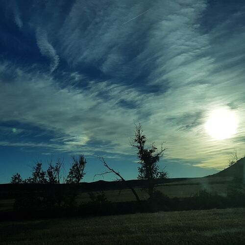 Photo #8181634