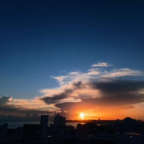 Photo #8181668