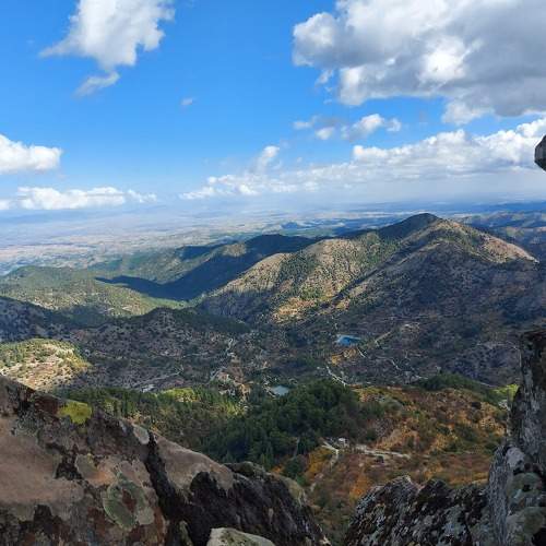 Photo #8181855