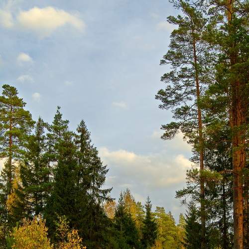 Photo #8182412