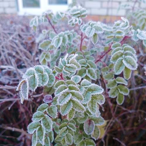 Photo #8182728
