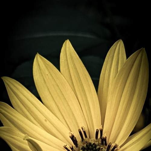 Photo #8183028