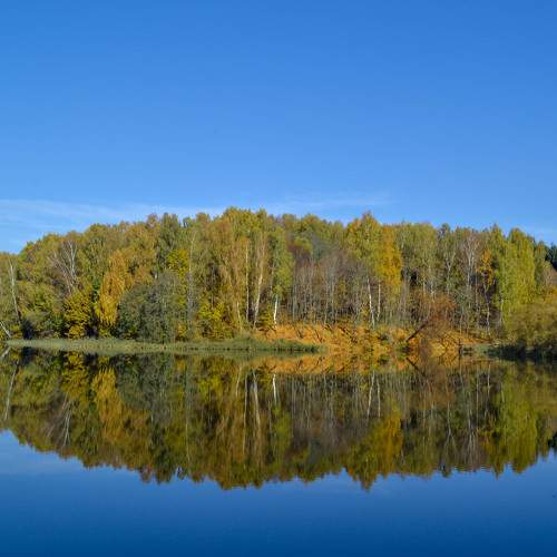 Photo #8183064