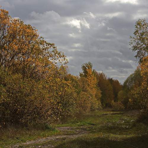 Photo #8183068